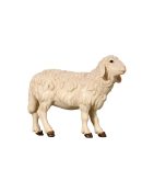 053054 Schaf stehend
