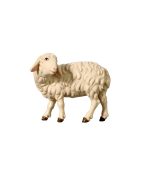 053056 Schaf zurückschauend