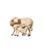 053059 Schaf mit Lamm saugend