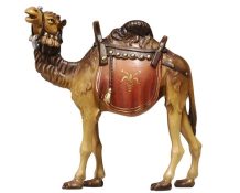 Kamel 170.aspx