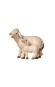Schaf mit Lamm279.aspx